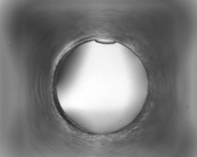 X0000060750007200512011459