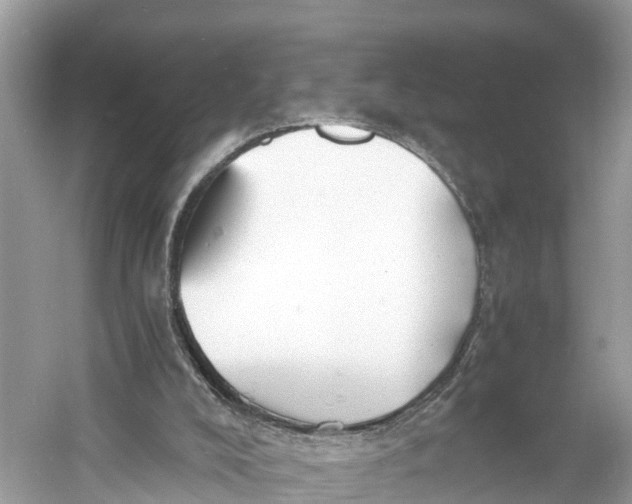 X0000060750008200512011459