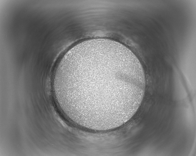 X0000060750012200512011459