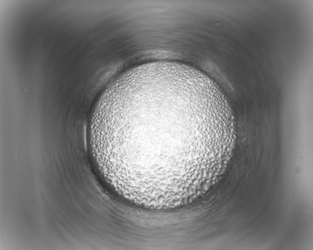 X0000060750014200512011459