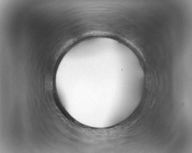 X0000060750015200512011459