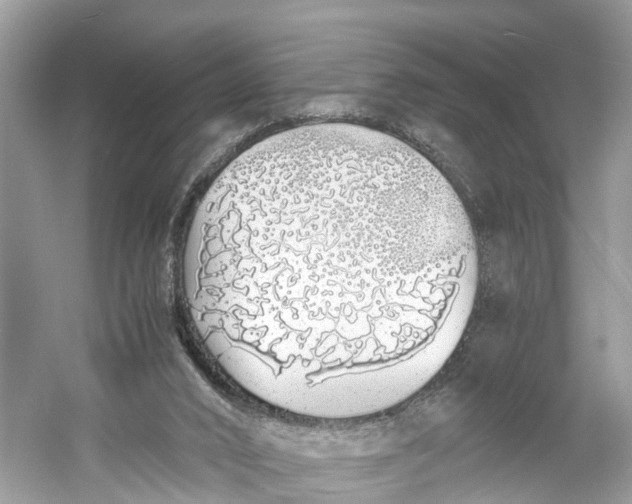 X0000060750016200512011459