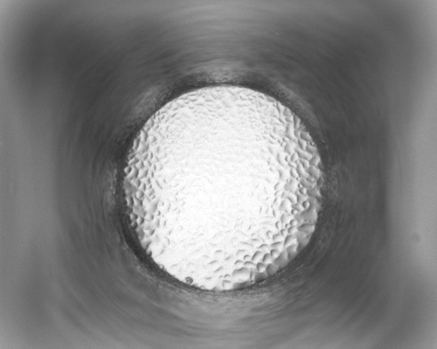 X0000060750018200512011459