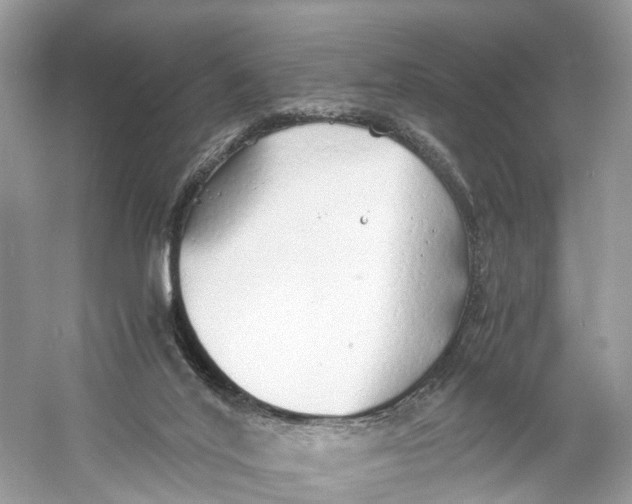 X0000060750020200512011459