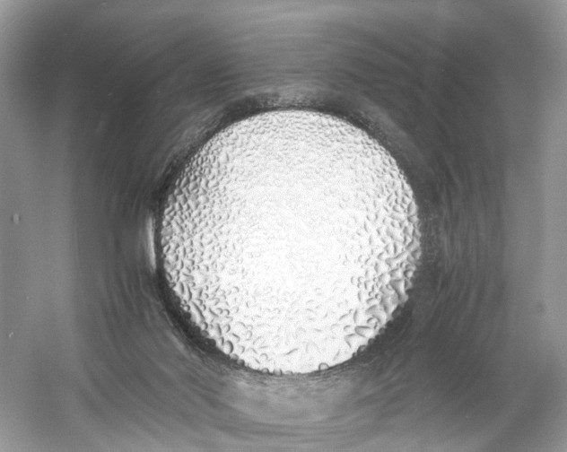 X0000060750022200512011459