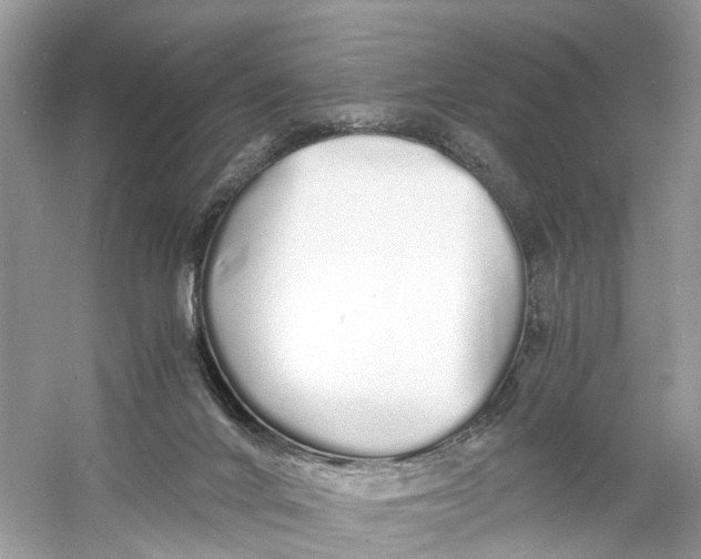 X0000060750024200512011459