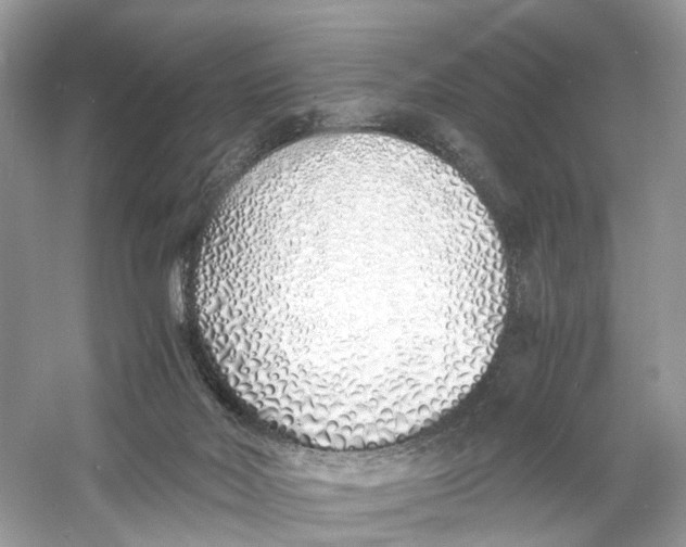 X0000060750026200512011459