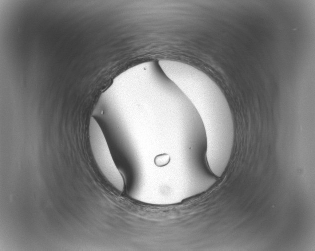 X0000060750029200512011459