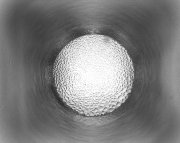 X0000060750030200512011459