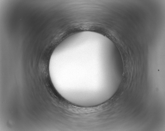 X0000060750031200512011459
