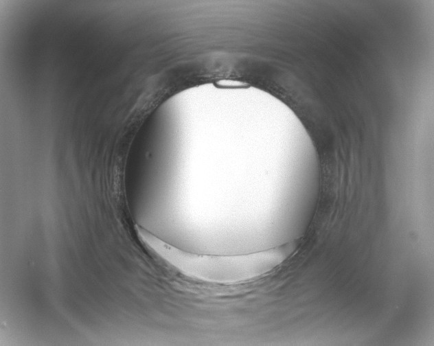 X0000060750035200512011459