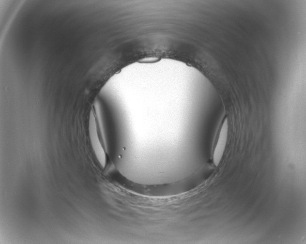 X0000060750037200512011459