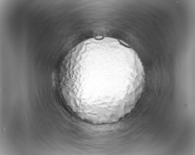 X0000060750038200512011459