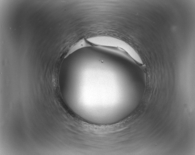 X0000060750039200512011458
