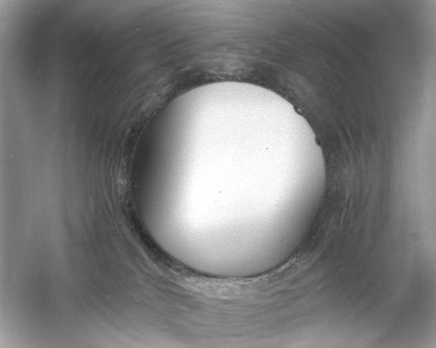 X0000060750040200512011458