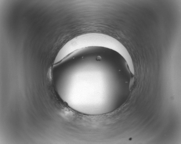 X0000060750041200512011458
