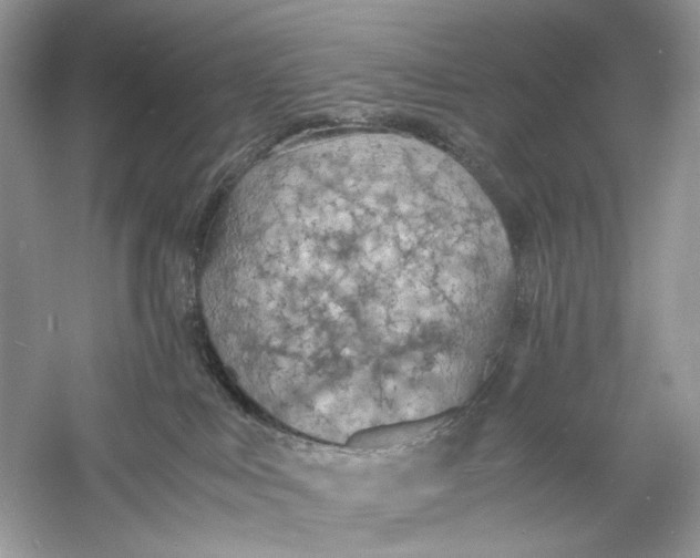 X0000060750043200512011458