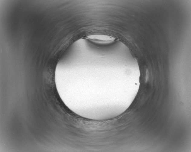 X0000060750044200512011458