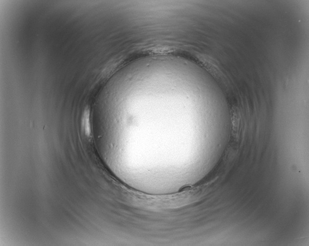X0000060750046200512011458