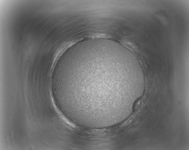 X0000060750049200512011458