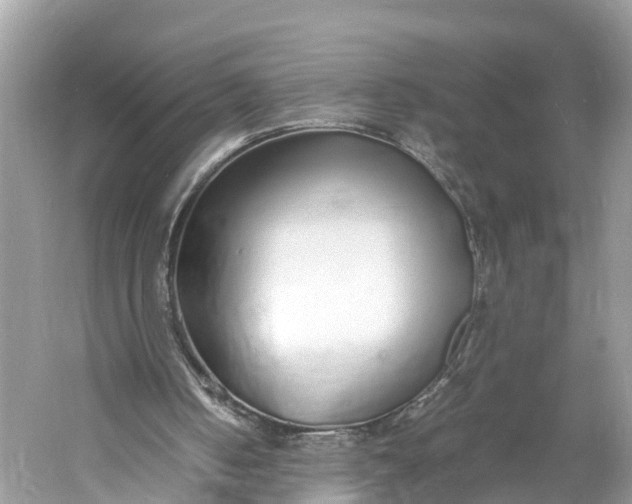 X0000060750050200512011458