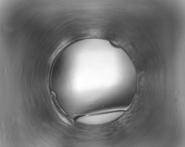 X0000060750051200512011458