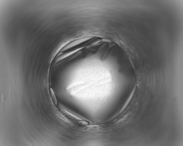 X0000060750052200512011458