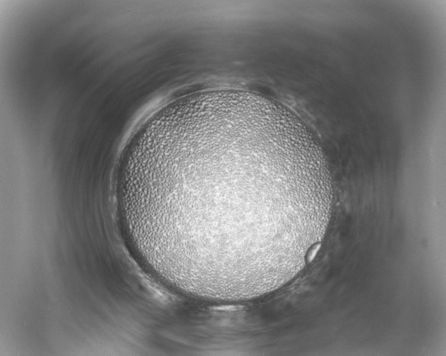 X0000060750053200512011458