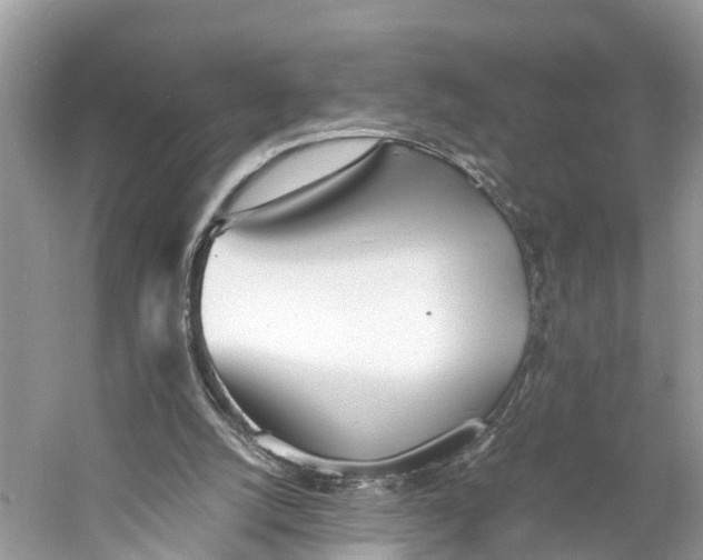 X0000060750056200512011458
