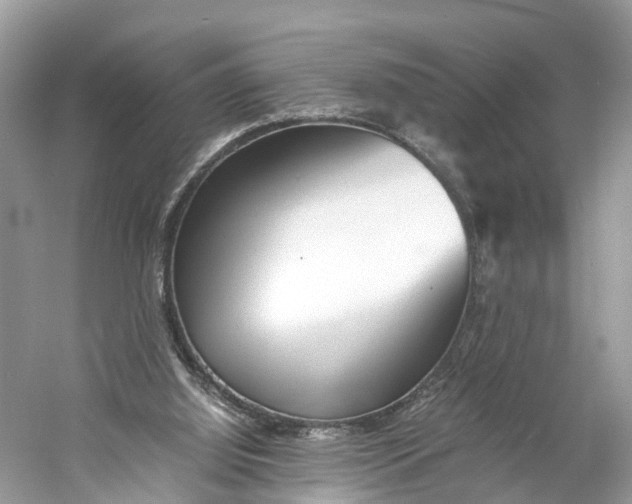 X0000060750060200512011458
