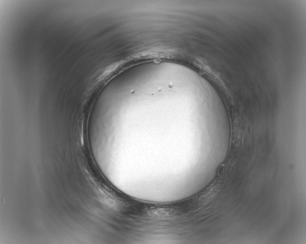 X0000060750062200512011458