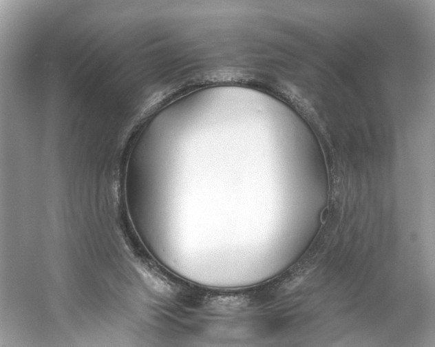 X0000060750063200512011458