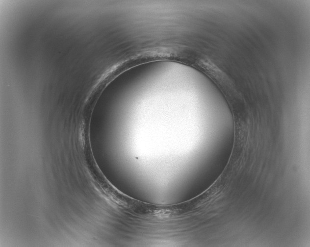 X0000060750064200512011458