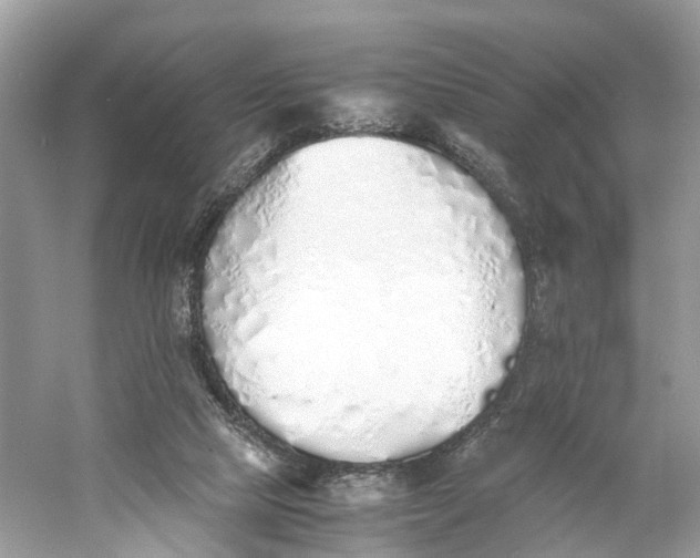 X0000060750065200512011458