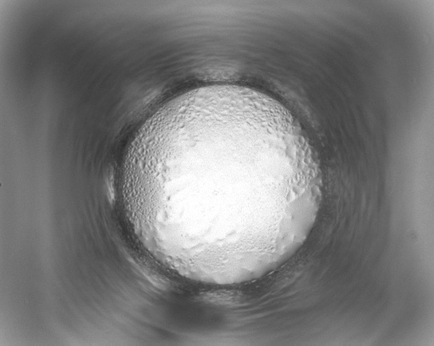 X0000060750069200512011458