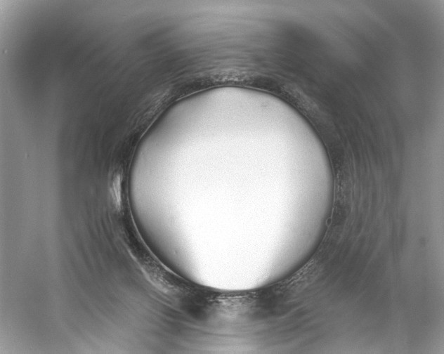 X0000060750070200512011458