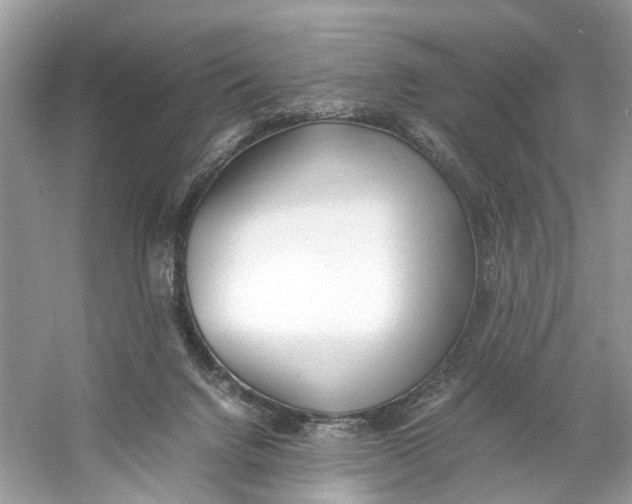 X0000060750072200512011458