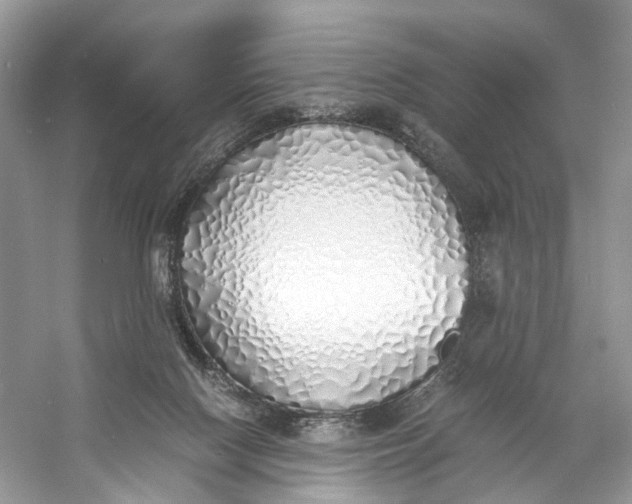 X0000060750074200512011458