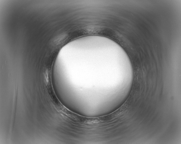 X0000060750075200512011458