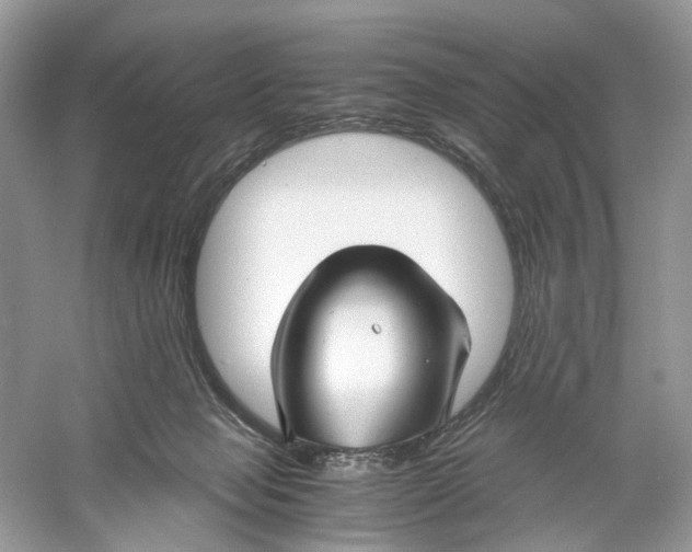 X0000060750077200512011458
