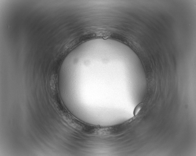 X0000060750078200512011458