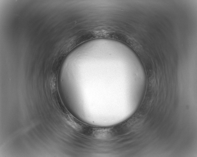 X0000060750081200512011458