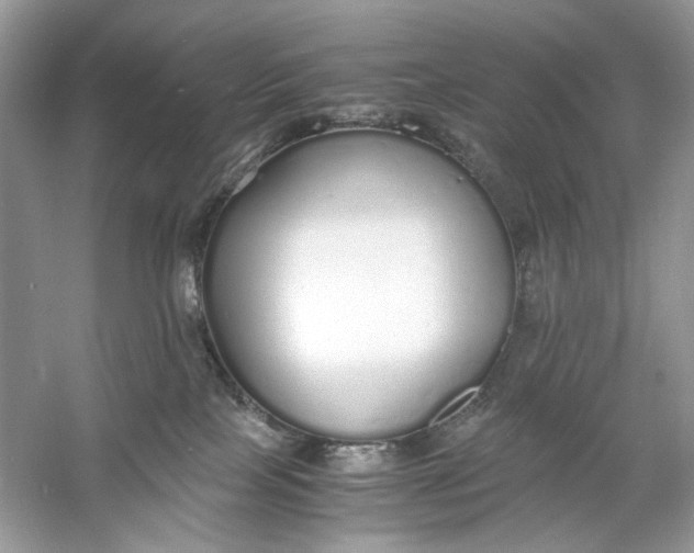 X0000060750089200512011458