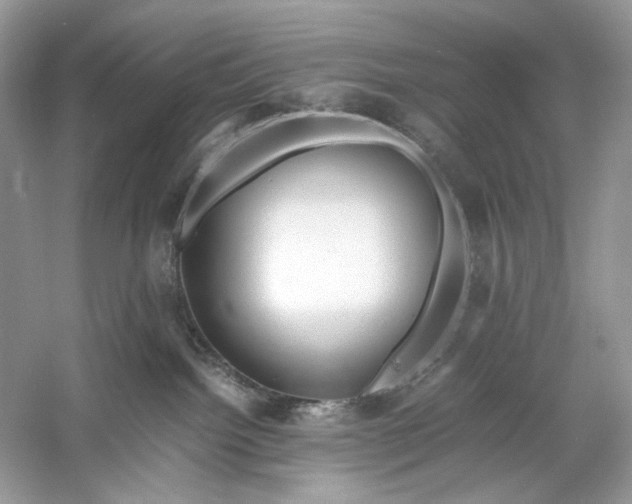 X0000060750092200512011458