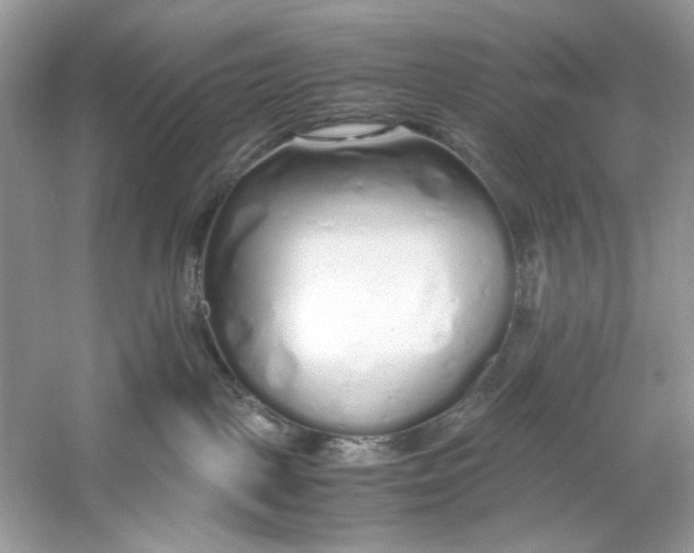 X0000060750093200512011458