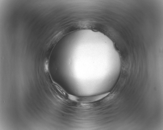 X0000060750095200512011458