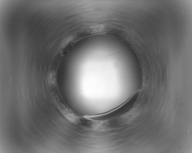 X0000060750096200512011458
