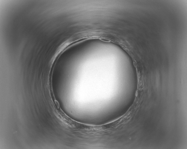 X0000060750099200512011457