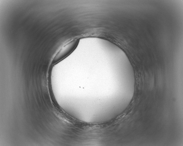 X0000060750100200512011457