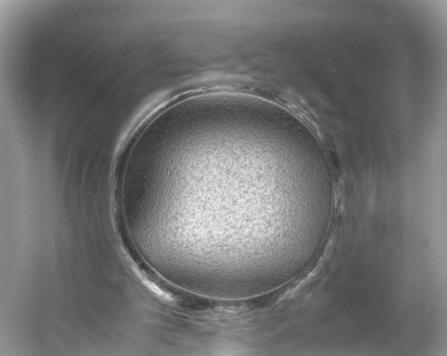 X0000060750101200512011457
